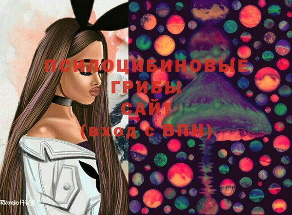 дживик Киреевск