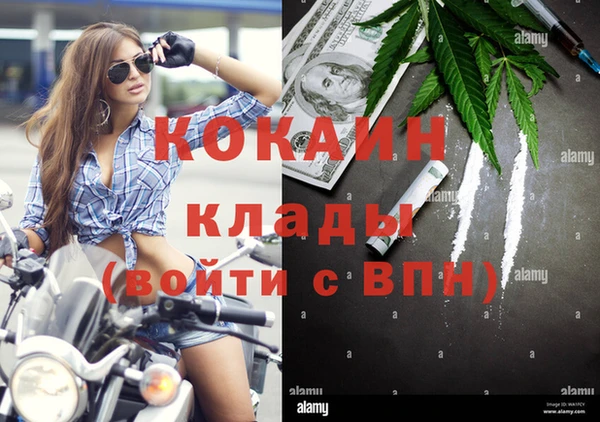 mdpv Новозыбков