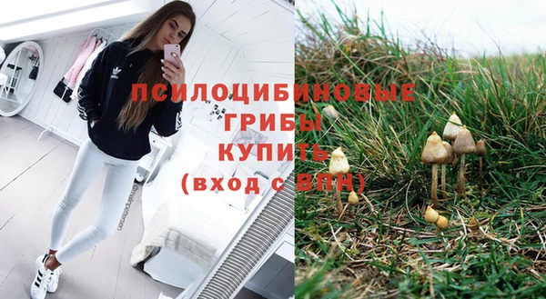 mdpv Новозыбков