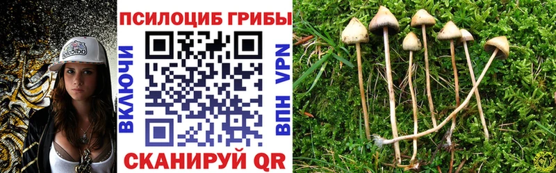 Галлюциногенные грибы прущие грибы  Петропавловск-Камчатский 