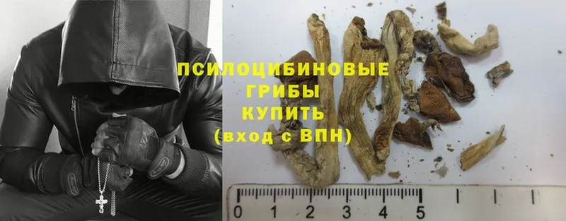 даркнет сайт  omg ССЫЛКА  Галлюциногенные грибы Magic Shrooms  Петропавловск-Камчатский 