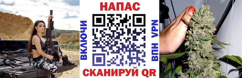 Бошки марихуана планчик  где продают наркотики  Петропавловск-Камчатский 
