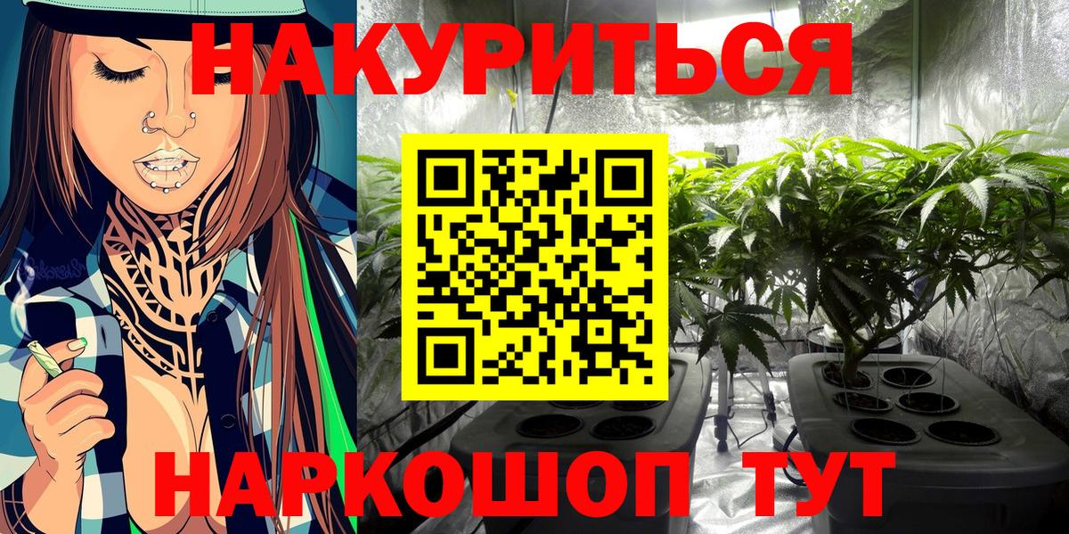 Конопля гибрид Петропавловск-Камчатский
